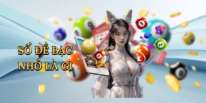 so-de-bac-nho-la-gi-1
