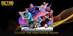 Cá cược thể thao online nhanh
