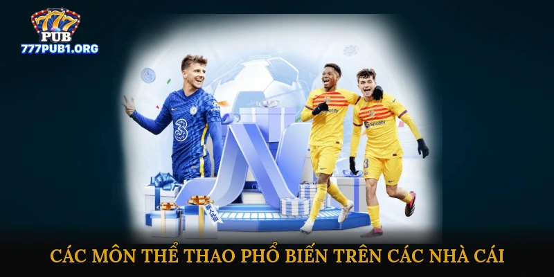 Các Môn Thể Thao Phổ Biến Trên Các Nhà Cái Uy Tín