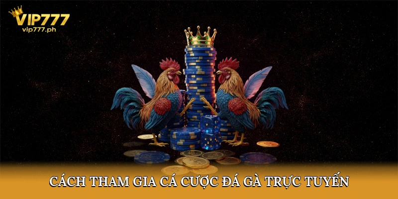 Cách tham gia cá cược đá gà trực tuyến