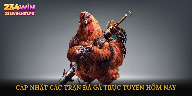 Cập nhật các trận đá gà trực tuyến hôm nay