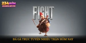 đá gà trực tuyến nhiều trận hôm nay