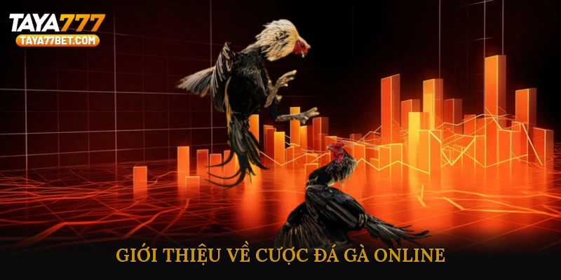 Giới thiệu về cược đá gà online