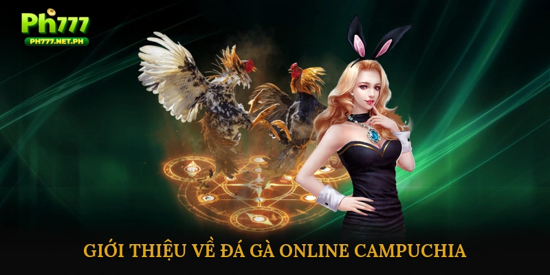 Giới thiệu về đá gà online Campuchia