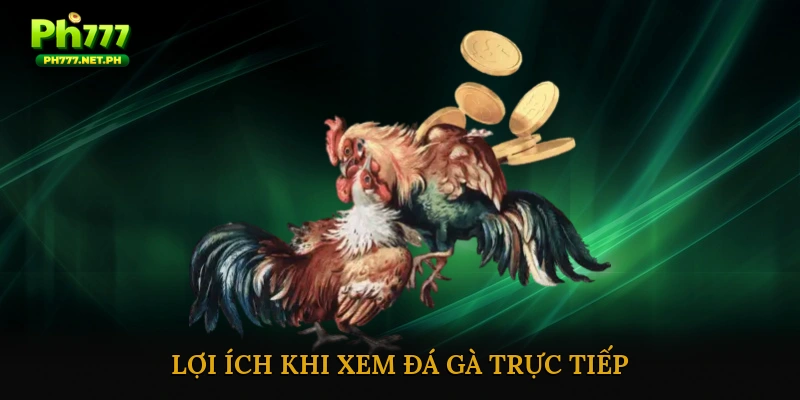 Lợi ích khi xem đá gà trực tiếp