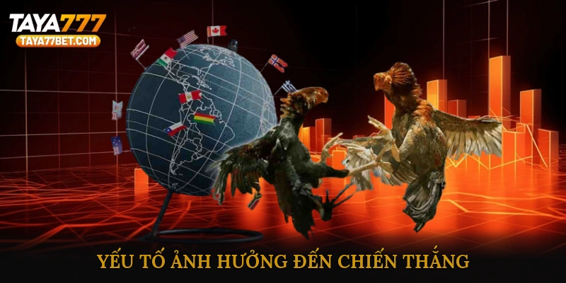 Những yếu tố ảnh hưởng đến chiến thắng trong cược đá gà online