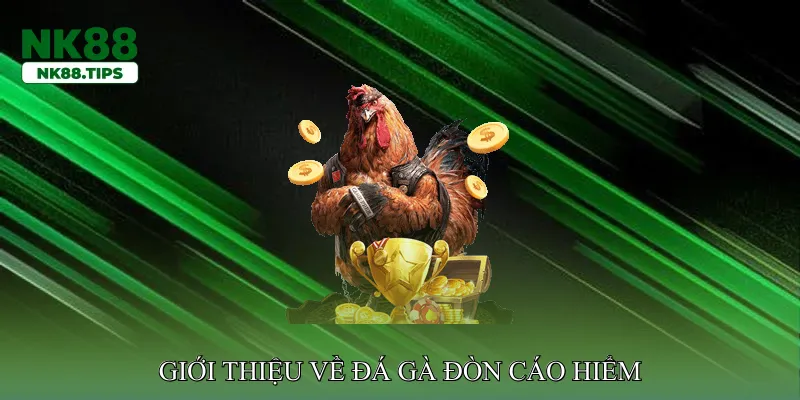 Giới thiệu về đá gà đòn cáo hiểm