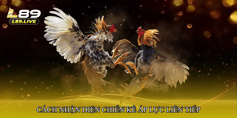 Cách nhận diện chiến kê áp lực liên tiếp