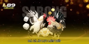 Đá gà áp lực liên tiếp