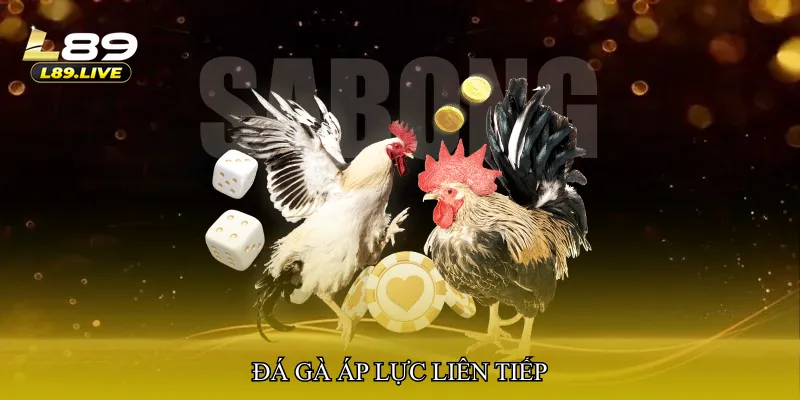Đá gà áp lực liên tiếp